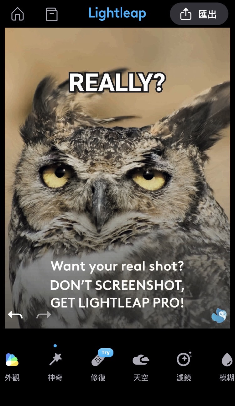 修圖App推薦Lightleap